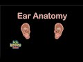 Exploring Ear Anatomy Through Song