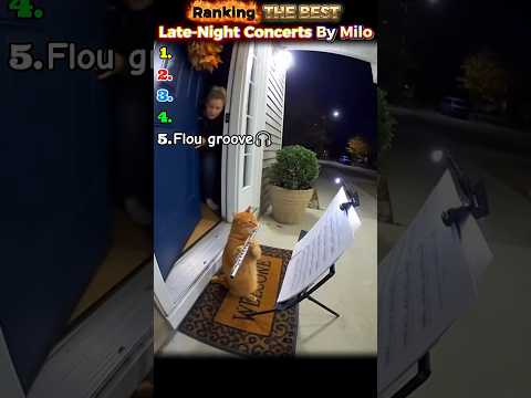 Miloโs Midnight Jam ๐ถ๐