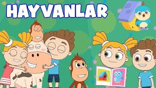 🐵🎶 Kukuli Koleksiyonu: Çekirge ve Hayvanlar Şarkıları! 🐞🦗🦁