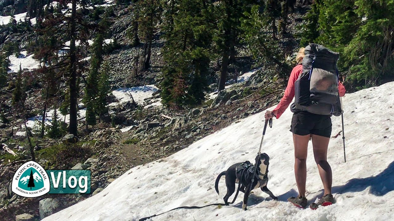 I Probably Wouldn't Take a Dog Thru-hiking
