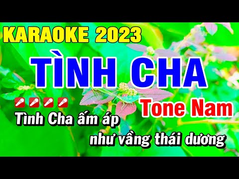 Karaoke Tình Cha – Ngọc Sơn Tone Nam Dể Hát Nhạc Sống | Hoài Phong Organ