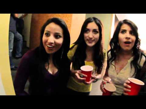 #PROYECTOX - PINCHE FIESTON!