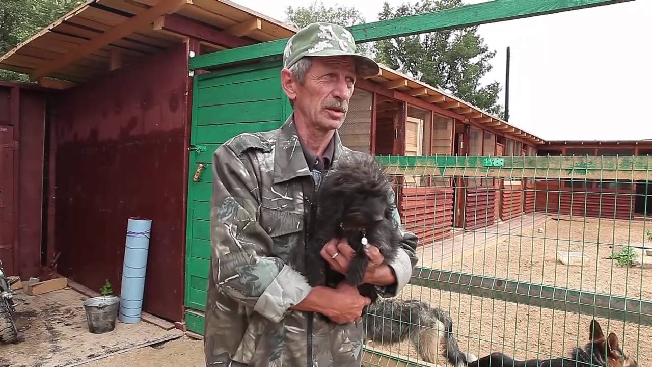 Приют Сергея Фокина для бездомных животных