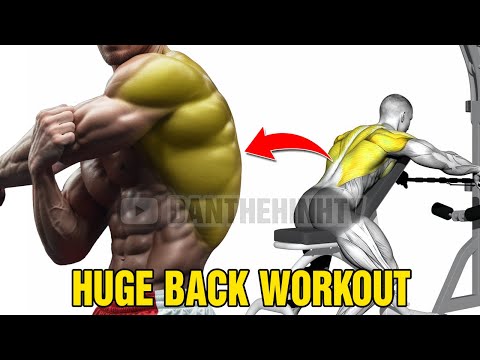 The PERFECT Science Based Back Workout