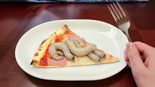 i shouldn't have ate this PIZZA..
