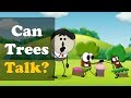 Air Pressure and Bone Healing Concepts