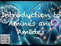 Amine and Amide Structures and Functions