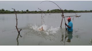 ||🎣HOOK FISHING🎣 TODAY GREATEST CATCHING ROHU FISHES  IN THE RIVER SINGLE HOOK FISHERMAN, AWESOME||