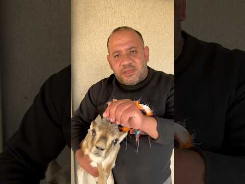 وخيرا راح اكمل بيتي الجديد