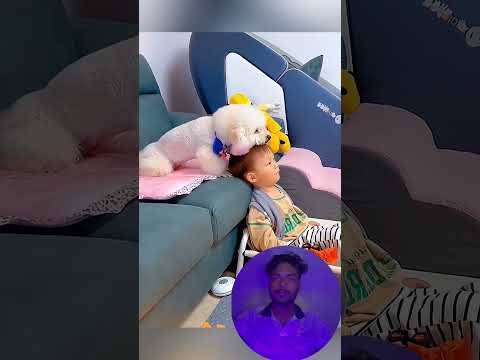 Funny stories about babies and dogs ❤️ 🥰 #pet #cat #dog #cute #animals#foryou #typ