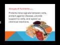 Nutritional Science and Vitamins