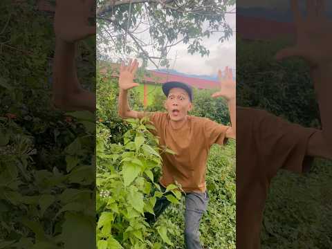 Ujung nya nyusul😂