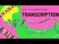 Transcription and RNA Synthesis Concepts