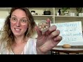 Understanding Seeds and Their Importance