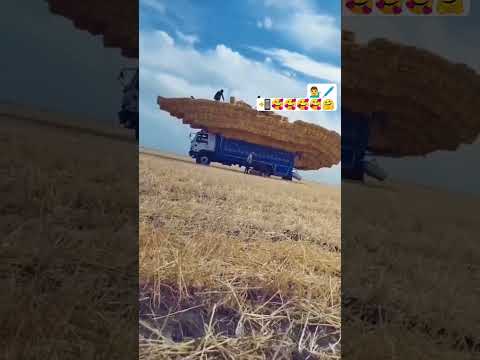 Ребято подписвайте 🥺😇✊