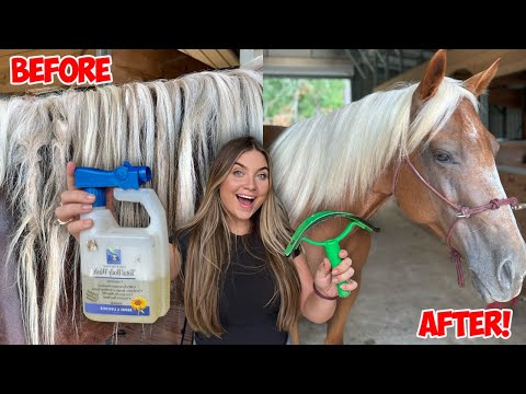 GIVING MY NEW HORSE A MAKEOVER  *SATISFYING*