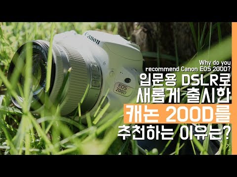 (KOREAN) 입문용 DSLR로 새롭게 출시한 캐논 200D를 추천하는 이유는? feat. 소니유저(Why to recommend Canon EOS 200D?)