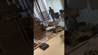 घर में घुसना आसान, निकलना मुश्किल! 🏠