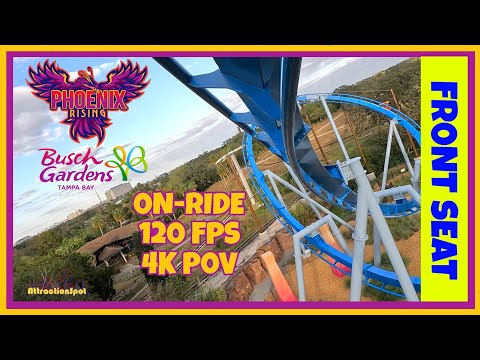 Phoenix Rising | B&M Family Suspended Coaster | On-Ride | Front | 4K POV | Busch Gardens Tampa Bay