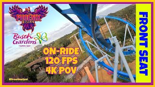 Phoenix Rising | B&M Family Suspended Coaster | On-Ride | Front | 4K POV | Busch Gardens Tampa Bay