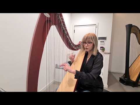 Gloria diBi - Harp