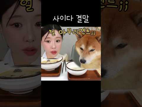 개사이다 결말