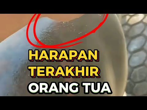 Semangat yang lagi kerja keras #shorts