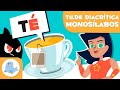 Understanding Diacritical Tilde in Monosyllabic Words