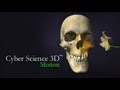 Navigating the Cyber Science App