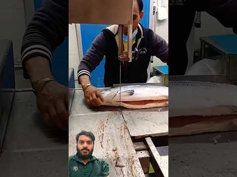 Australia froze haw to make a fish cutting skills #trending #youtubetimeline #youtubeshorts #cool