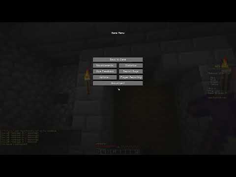 Playing Hypixel