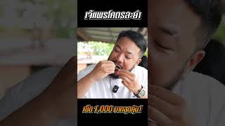 พาหม่ำยำจานยักษ์ 'เจ้แพร โคตรละยำ' รับประกันความแซ่บซี๊ดจี๊ดลิ้น!