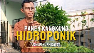 Berkebun di lahan sempit dengan cara hidroponik