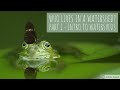 Water Resources and Pollution Awareness
