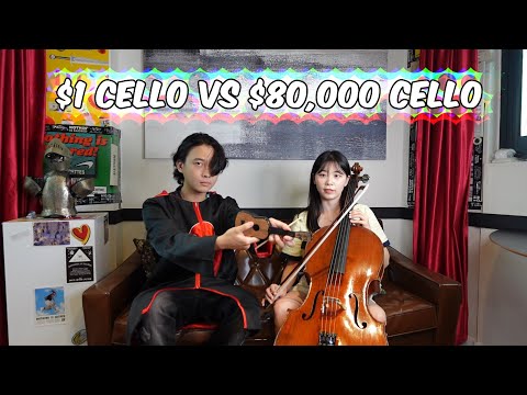 $1 Cello VS $80,000 Cello