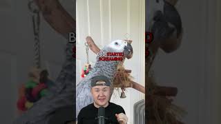 This Bird SNITCHED 😳