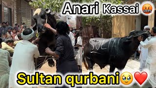 Kasai dar k bhag gay🤬sultan qurban hogya🥹bohat mushkil sa?