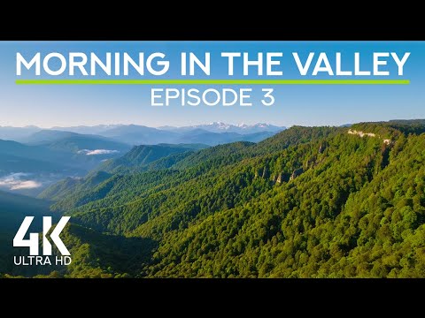 Cheerful Bird Songs at Dawn for the Sense of Calm & Tranquility | 4K Morning in the Valley - Ep 3