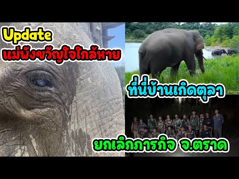 อัพเดทพังขวัญใจดีขึ้นทุกวัน ภารกิจยิ้มได้ /ช่วยพลายหงส์ไม่สำเร็จหากันไม่เจอ /สอยดาวบ้านเกิดตุลา