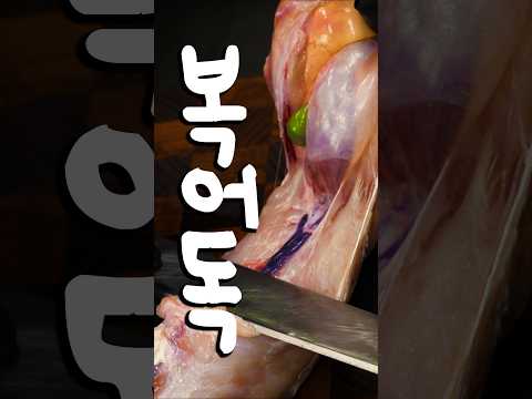 복어회에 독을 발라 즐겨 먹는 사람들