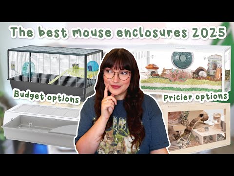 The BEST cages for pet mice 2025