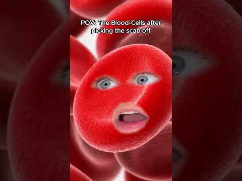 The Blood Cells after picking the scab off #shorts #funny