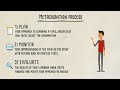 Metacognition and Effective Learning