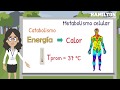 Cuestionario sobre Metabolismo Celular