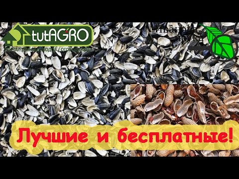 Бесплатно и очень полезно! Шелуха, лузга и скорлупки - вот самые ценные удобрения! Как использовать.