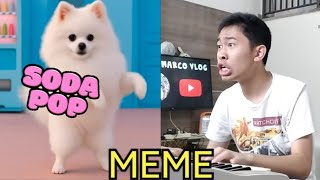 SODA POP DOGS MEME.