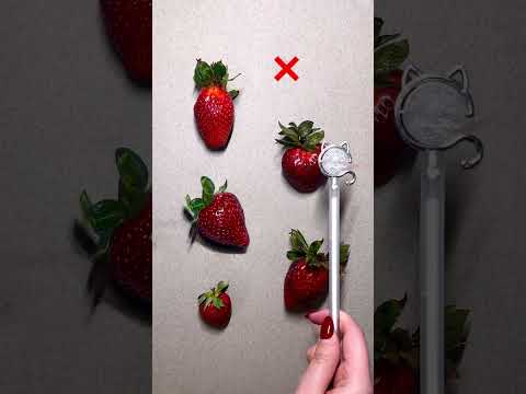 Spot the drawing ✍️🍓✨