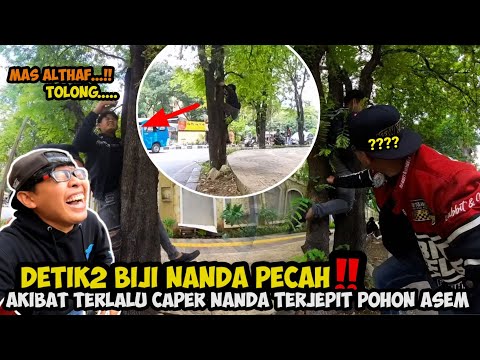 DETIK2 BIJI NANDA PECAH❗️KEBANYAKAN TINGKAH BERJUNUNG BIJI MAU PECAH