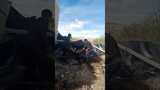 لحظة مميزة من البث المباشر