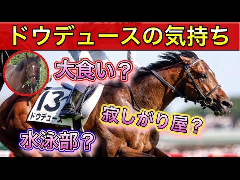 寂しがり屋な ドウデュースの気持ち【馬の気持ちシリーズ】日本ダービー編【競馬】パイセンの競馬チャンネル